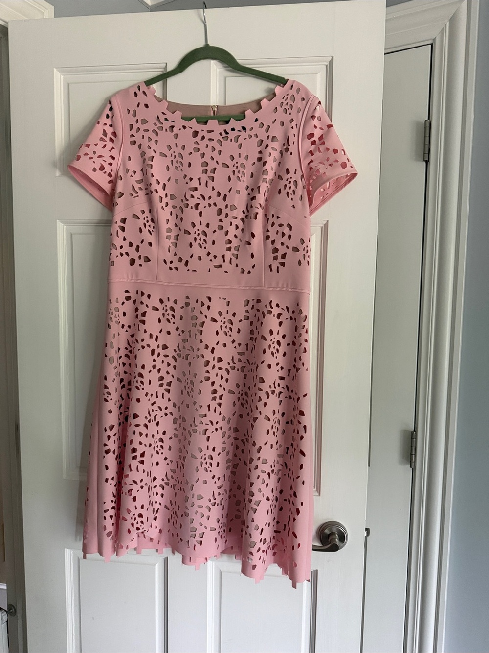 Pink Laser-Cut Short Sleeve Fit & Flare Mini Dress